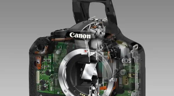 Historia aparatów Canon EOS 450D: Dlaczego warto znać? Opinie, recenzje