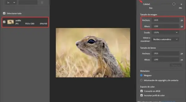 Jak zapisać zdjęcie z Photoshopa w JPG i uniknąć problemów z jakością