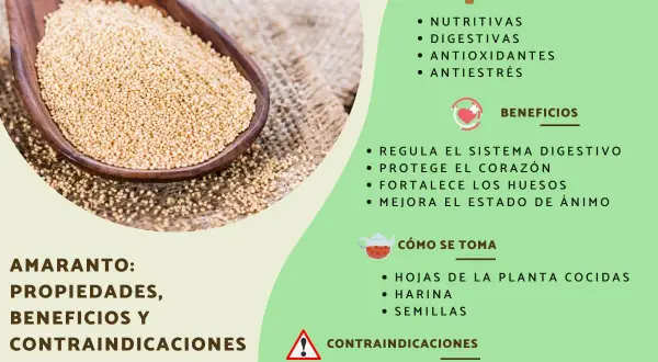 Amaranto: semillas doradas en cuchara de madera, detallando sus propiedades nutritivas, digestivas y beneficios para el corazón.