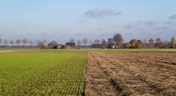 Campi verdi e arati, case rurali in lontananza. L'avvicendamento significato della natura, tra raccolto e riposo della terra.