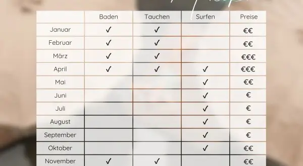 Tabelle zeigt beste Reisezeit für Mexiko im Januar: Baden und Tauchen sind ideal, Surfen möglich, Preise moderat.