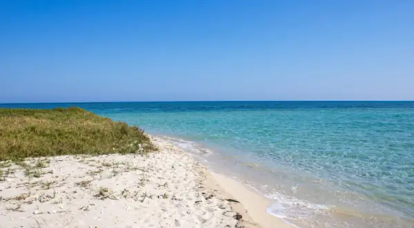 Arena blanca y aguas cristalinas en la playa Borna, con vegetación verde y un cielo azul intenso.