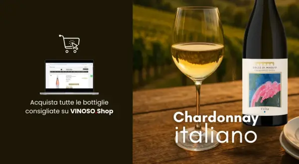 Un bicchiere di vino bianco, un blanc de blancs, accanto a una bottiglia di Chardonnay italiano Colle di Maggio. Acquista su VINOSO Shop.