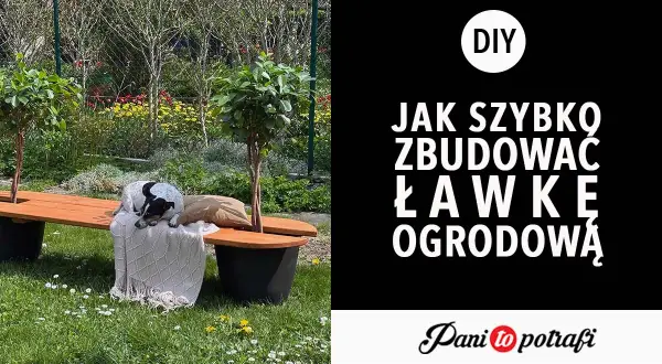 Pies śpi na ławce ogrodowej z drewna, otoczonej zielenią.