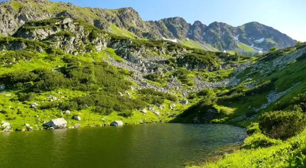 Zielone zbocza górskie schodzą do spokojnego, zielonego jeziora. W oddali widać skaliste szczyty, a na niektórych wciąż leży śnieg. To malowniczy widok na Rohackie Stawy.