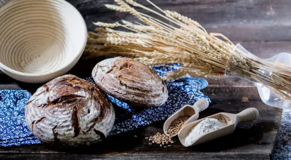 Zwei rustikale Brote, Weizenähren und Holzschaufeln mit Getreide und Mehl. Eine Bäckerei-Szene, die die Vielfalt einer **Getreide Sorte** zeigt.