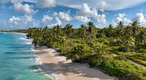 Rajska plaża z palmami i turkusową wodą, idealne miejsce na wakacje w Dominikana Punta Cana.