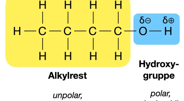 Strukturformel eines Alkohols: Ein unpolarer Alkylrest (gelb) ist mit einer polaren Hydroxygruppe (blau) verbunden. Diese funktionellen Gruppen bestimmen die Eigenschaften.