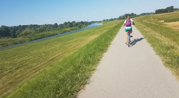 Kobieta na rowerze przemierza malowniczą wiślaną trasę rowerową Kraków-Niepołomice, otoczoną zielenią i spokojną rzeką.