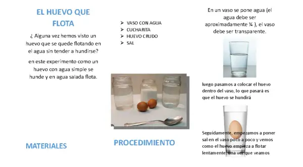 Un huevo flota en agua salada en un experimento.
