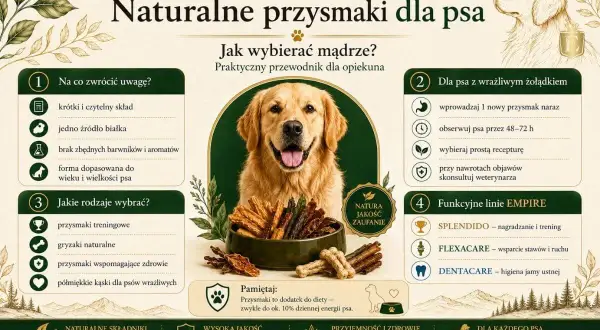 Szukasz idealnych przysmaków dla szczeniaka? Dowiedz się, jakie smaczki dla szczeniaka wybrać, zwracając uwagę na skład, rodzaj i przeznaczenie.