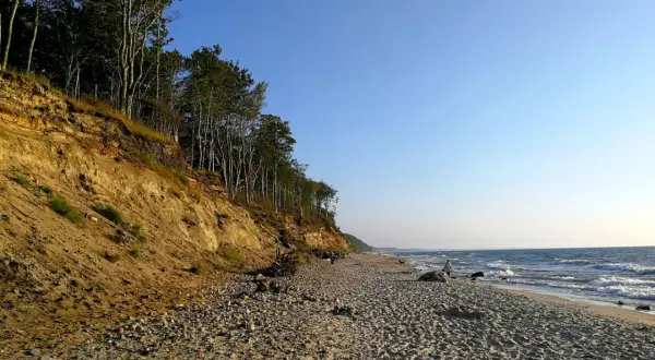 Plaża z klifem porośniętym drzewami, fale rozbijające się o brzeg. Dębina atrakcje przyrodnicze zachwycają.