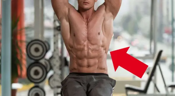 Ein Mann mit stark ausgeprägten Bauchmuskeln, der rote Pfeil zeigt auf den serratus anterior.