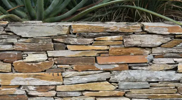 A rustic stone wall, showcasing how to build a retaining wall with layered, irregular stones. Aloe plants grow behind it.