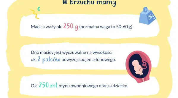 16 tydzień ciąży to już 4 miesiąc. Macica waży ok. 250 g, a dziecko otacza 250 ml płynu.