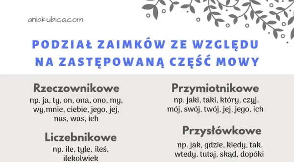 Podział zaimków ze względu na zastępowaną część mowy: rzeczownikowe (ja, ty), przymiotnikowe (jaki, mój), liczebnikowe (ile) i przysłówkowe (jak, gdzie).
