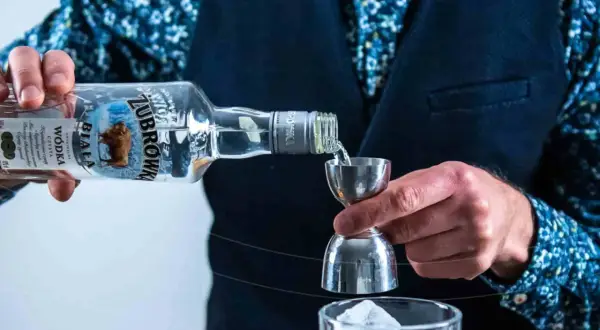 Barman nalewa Żubrówkę do jiggera, przygotowując drinka. Wódki w Polsce to tradycja.