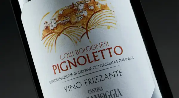 Etichetta di Pignoletto Frizzante, vino tipico bolognese, con disegno di un borgo collinare e vigneti.