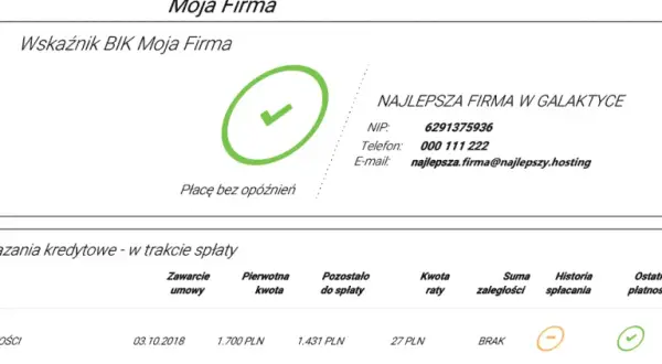 Jak długo w BIK po spłacie zadłużenia? Poznaj kluczowe informacje