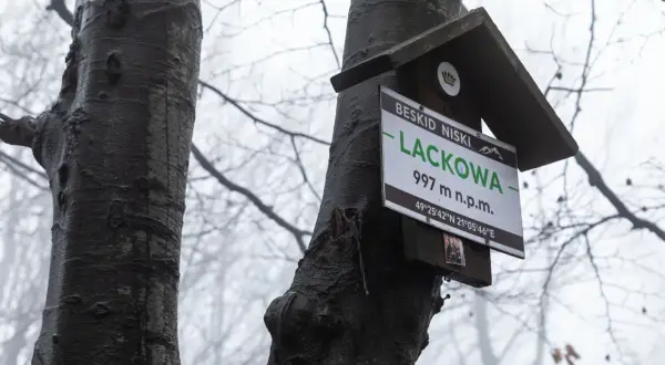 Tabliczka szlakowa na Lackowej w Beskidzie Niskim, 997 m n.p.m. Mglisty dzień w lesie.