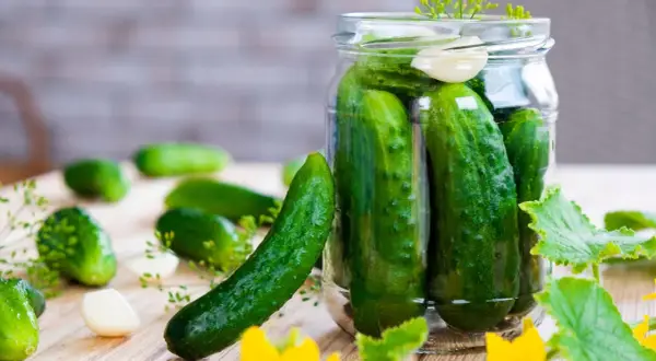 Frische Gurken, Dill und Knoblauch für das Gurken einlegen nach Omas Rezept.