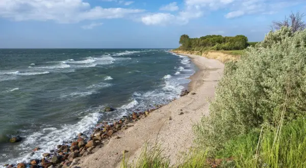 Windige Ostsee bei Berlin. Wellen brechen an einem steinigen Strand, dahinter eine sandige Steilküste mit Bäumen.