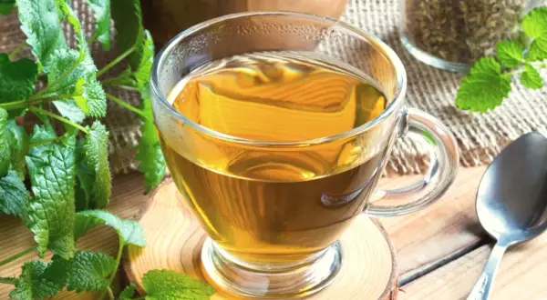 Aromatic melisa w szklance, idealna do parzenia. Zioła i łyżeczka obok.