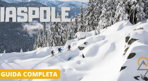 Escursionisti con ciaspole su un sentiero innevato. Scopri cosa sono le ciaspole e come usarle per esplorare la montagna in inverno.