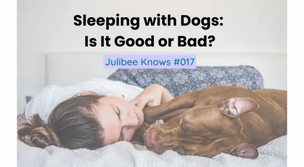 A woman and her dog are sleeping peacefully together in bed. The text "Sleeping with Dogs: Is It Good or Bad?" is overlaid on the image.