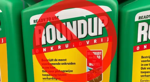 Butelki z zielonym środkiem ochrony roślin Roundup, z przekreślonym czerwonym okręgiem. Roundup wycofany.
