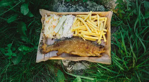 Smażony karp z frytkami i surówką, idealny wybór z menu Stawy Biskupie.