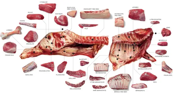Detaljerad illustration av styckdetaljer från nötkreatur, inklusive flat iron steak (entrecote med ben).