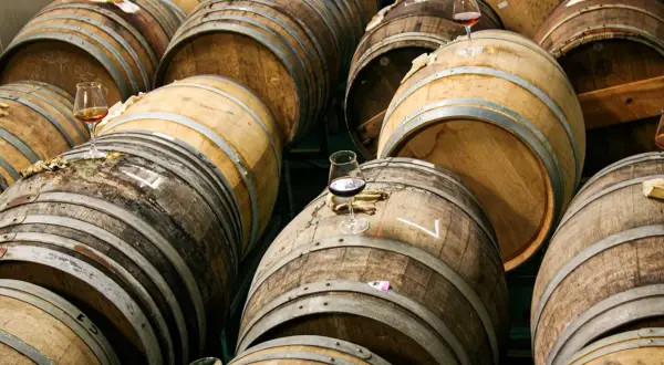 Botti di legno impilate, alcune con bicchieri di birra in attesa di essere degustate.