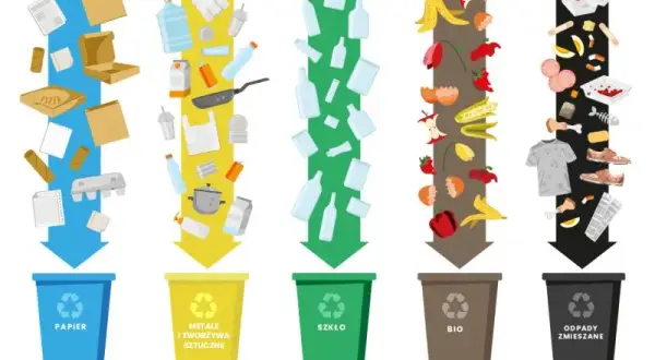 Jak wyrzucić styropian? Segregacja i recykling krok po kroku