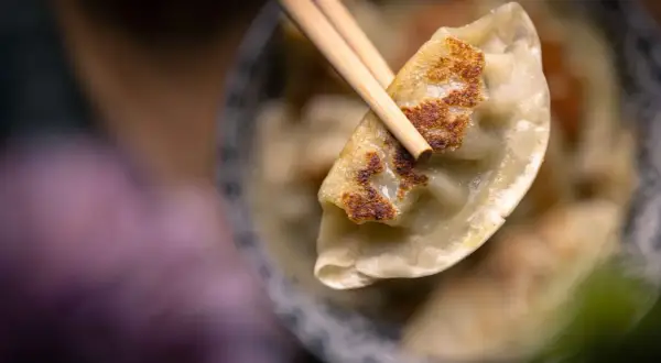 Ein Stäbchen hebt eine goldbraun gebratene Gyoza-Dumpling aus einer Schüssel.