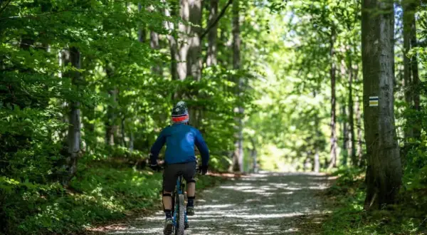Rowerzysta na ścieżce leśnej, podążający za zielonym szlakiem. Słońce przebija się przez liście drzew.