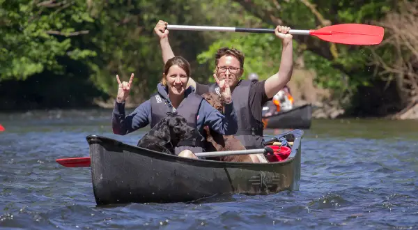 Glückliche Menschen und ihre Hunde genießen eine Kanutour NRW. Sie paddeln auf einem Fluss, die Sonne scheint, und die Stimmung ist ausgelassen.