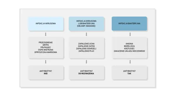 Schemat rozróżnia infekcje wirusowe i bakteryjne. W przypadku anginy, boreliozy, krztuśca czy zakażenia układu moczowego, czyli infekcji bakteryjnej, antybiotyk jest wskazany.