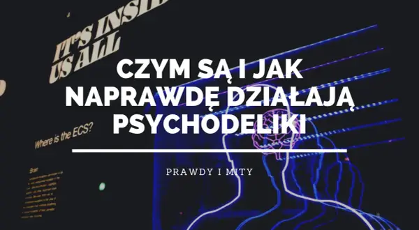 Czym są i jak naprawdę działają psychodeliki? Grafika przedstawia schematyczne sylwetki ludzi i mózg, sugerując eksplorację umysłu.