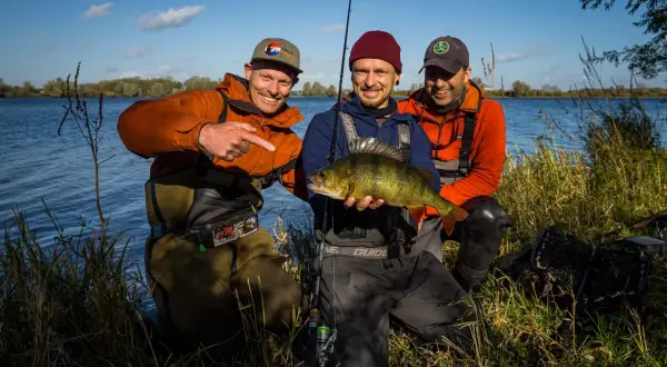Drei glückliche Angler präsentieren stolz ihren Fang beim Angeln an der Maas. Ein schöner Barsch im Mittelpunkt.