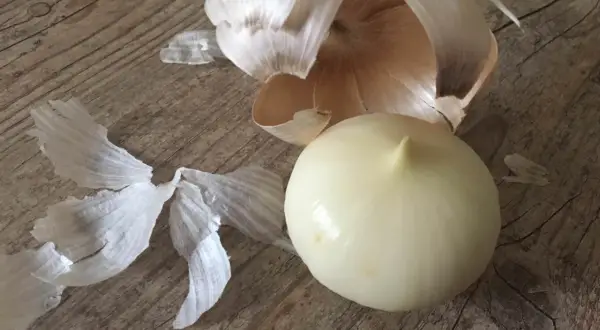 Eine geschälte Knoblauchfrucht liegt neben ihren papierartigen Schalen auf einer Holzoberfläche.