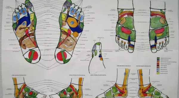 Carte des points réflexes du pied, un guide visuel pour le point reflexologie plantaire et ses bienfaits.