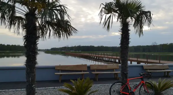 Pomarańczowy rower czeka na odkrycie **tras rowerowych Łódź** nad spokojną wodą, wśród palm i drewnianych ławek.