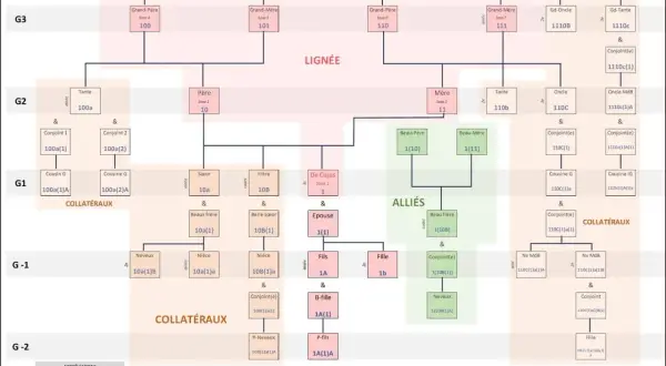 Arbre généalogique complexe, montrant la lignée, les alliés et les collatéraux. Ce schéma aide à la généalogie et à la compréhension des liens familiaux, comme pour l'état civil.