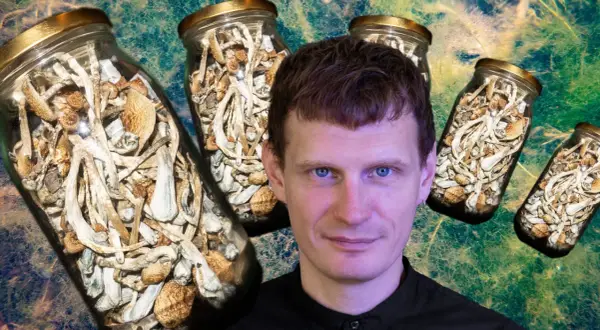 Grzyby psylocybinowe: Prawo, ryzyko, terapia. Czy to przyszłość medycyny?
