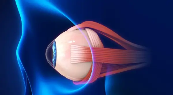 Anatomical illustration of a human eye with optic nerve and muscles, against a dark blue background with blue light effects.