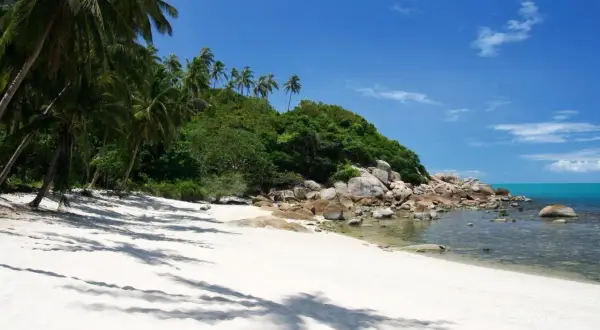 En vit sandstrand med palmer och en grön kulle möter det turkosa vattnet. En idyllisk kubmanet thailand-dröm.