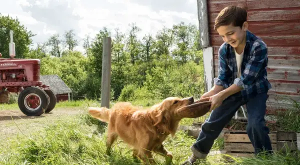 Filmy familijne: co oglądać? Nowości i klasyki dla całej rodziny!