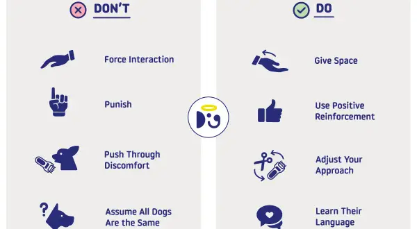 Learn dog language by giving space, using positive reinforcement, and adjusting your approach. Avoid forcing interactions or punishing.