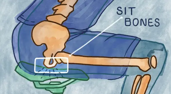 Illustrazione anatomica che evidenzia le ossa ischiatiche, punti di contatto sul sellino di una bicicletta.